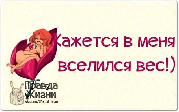 Прикольные фразочки в картинках для хорошего настроения