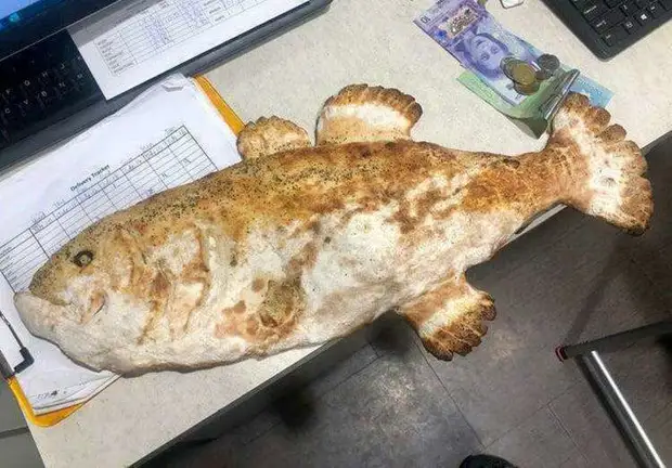 25 интересных и познавательных снимков со всего мира, которые наверняка вы увидите впервые 