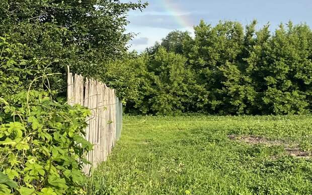 Владелица не использовала участок в Рязанском районе и лишилась земли