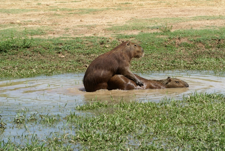 DSC02430_0