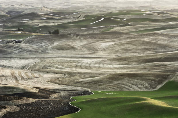 Холмы Palouse, США Palouse 5 Изумрудные холмы Палуз