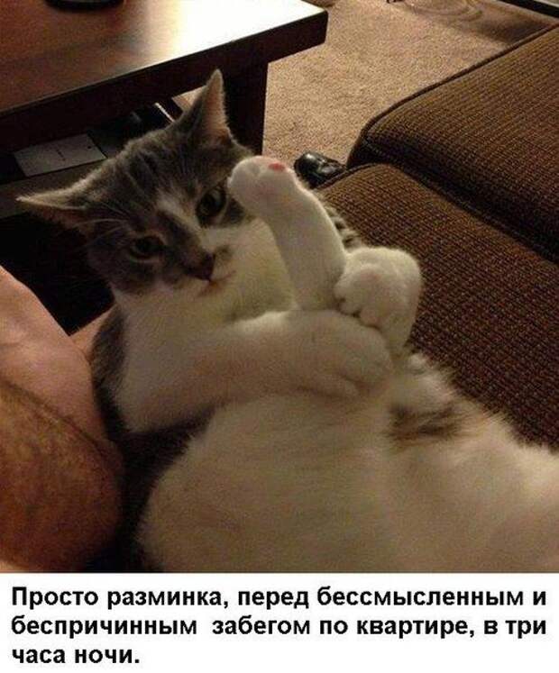 Прикольные картинки Прикольные картинки