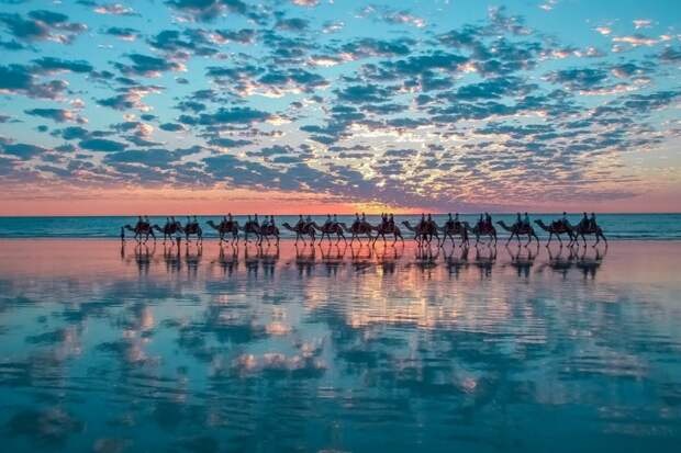 Прокатитесь-на-верблюде-вдоль-океана-в-Бруме-Австралия