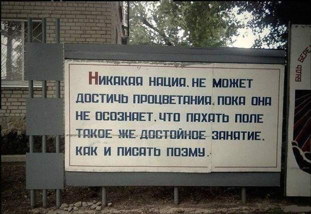Актуальные цитаты интернета
