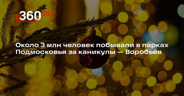 Около 3 млн человек побывали в парках Подмосковья за каникулы — Воробьев