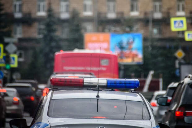 Отломал палец "Императрице" и скрылся: Росгвардия задержала посетителя Эрмитажа