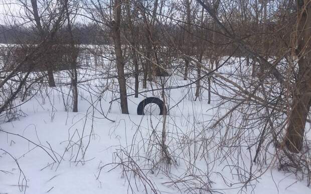 photo_2023-02-16_17-37-37.jpg photo_2023-02-16_17-37-37.jpg