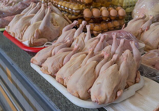 Сырая курица не может долго находиться вне холодильника.