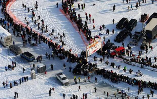 Гонка на собачьих упряжках Iditarod 2013