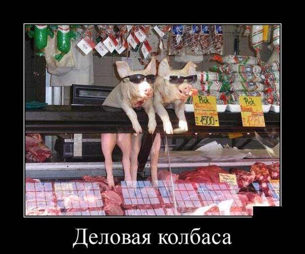 Демотиваторы (20 фото)