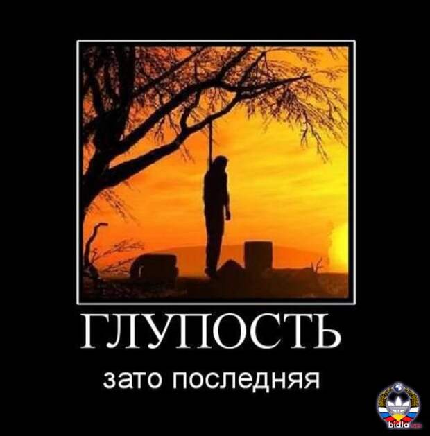 Чужая глупость не. Демотиваторы про глупость. Глупость картинки. Глупость прикол. Глупость человека.