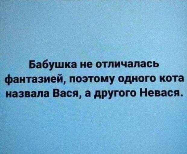 Смотреть прикольные картинки с шутками