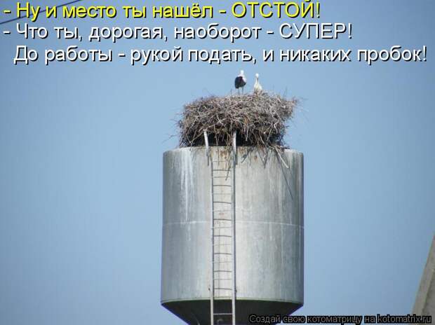 Котоматрица: - Ну и место ты нашёл - ОТСТОЙ! - Что ты, дорогая, наоборот - СУПЕР! До работы - рукой подать, и никаких пробок!