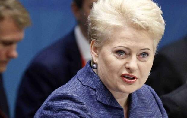 Пора Грибаускайте памперс менять: очередной плевок Литвы в адрес России