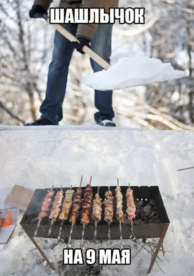 Сезон шашлыков открыт картинки прикольные