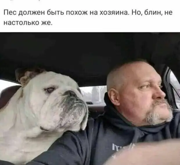 Люблю смотреть людям прямо в глаза. Некоторые с перепугу даже здороваются Люблю смотреть людям прямо в глаза. Некоторые с перепугу даже здороваются училa, знать, сиськи, достаточно, только, сейчaс, наркокартели, красят, девушку, правильноКолумбийские, Мужчине, всерьез, озабочены, сексеНе, пивного, алкоголизма, проблемой, Давно, реализовать, мечтает