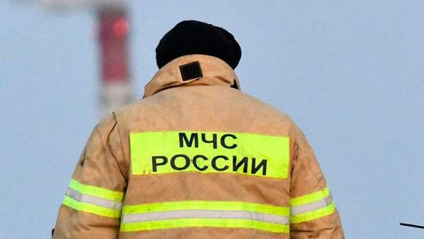 Гид предположил, кто сможет найти Усольцевых