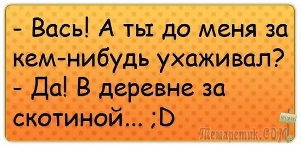 Отправь васю. Смешные клички на имя Вася. Приколы про Васю до слёз. Смешные рифмы к имени Вася. Смешные рифмы к имени Павлик.