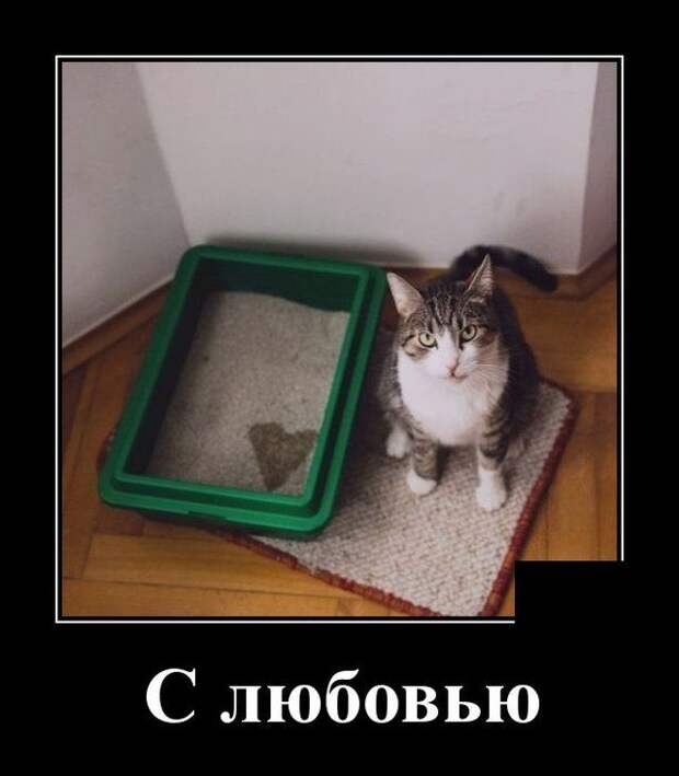 demotivatory-demotivator-smeshnye-demotivatory-demotivator-so-smyslom