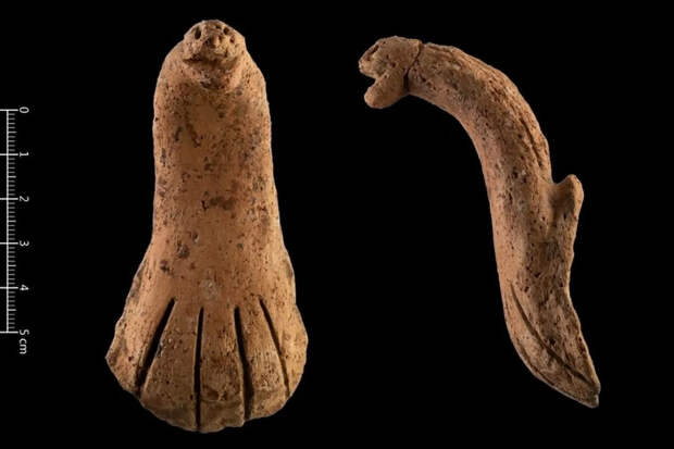 Arkeonews: на Тайване нашли ручку сосуда в форме кобры возрастом 4000 лет