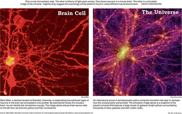 Нервная клетка и Вселенная