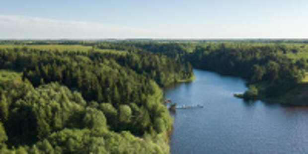 В комитете Ивановской области по лесному хозяйству подвели итоги реализации национальных проектов в 2025 году
