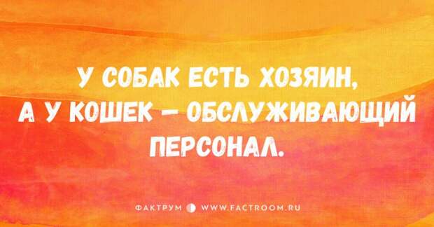 30 смешных открыток от мастеров тонкой иронии