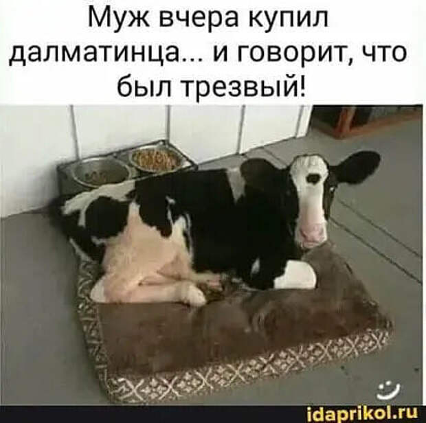 В ЗАГСе: - Жених, согласны ли взять в жены эту женщину?...