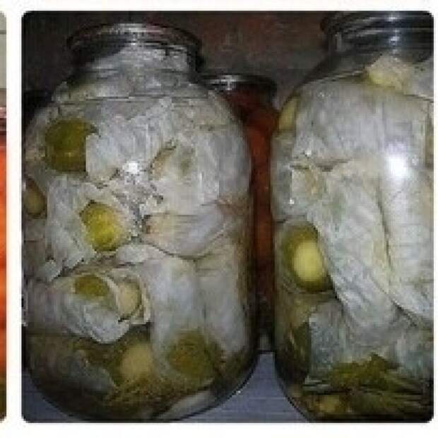 Огурцы в капустных листьях