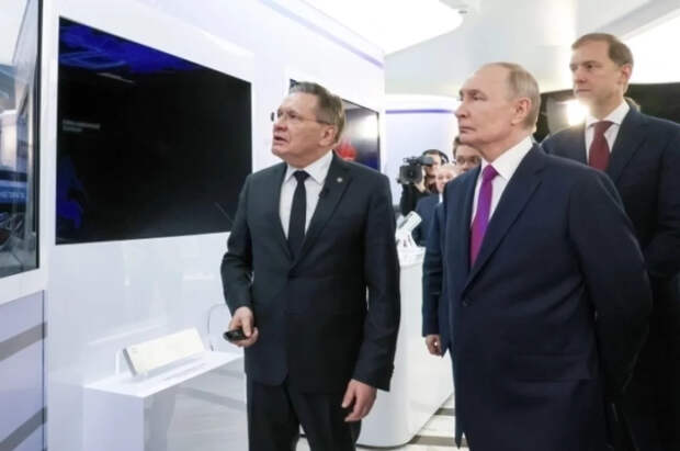 Лихачев сообщил Путину о состоянии кролика с имплантированной артерией