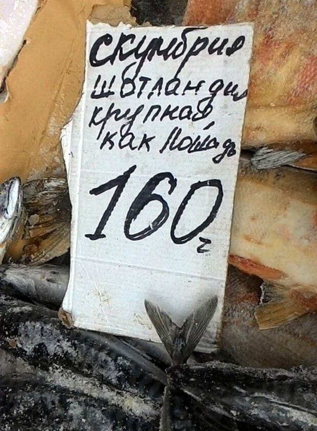 Забавное сравнение. Забавное сравнение.