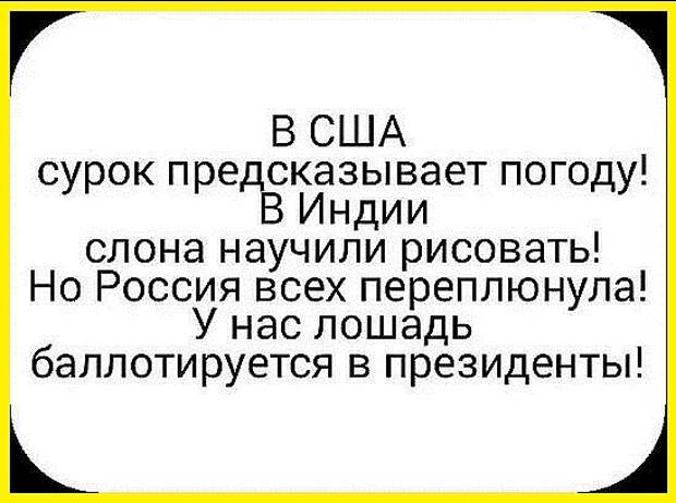 image?id=864327960094&t=0&plc=WEB&tkn=*q