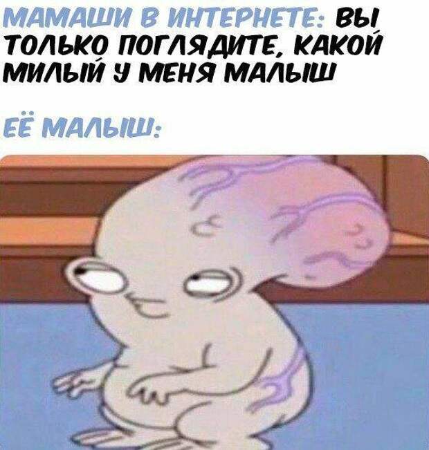 Шутки и истории про 