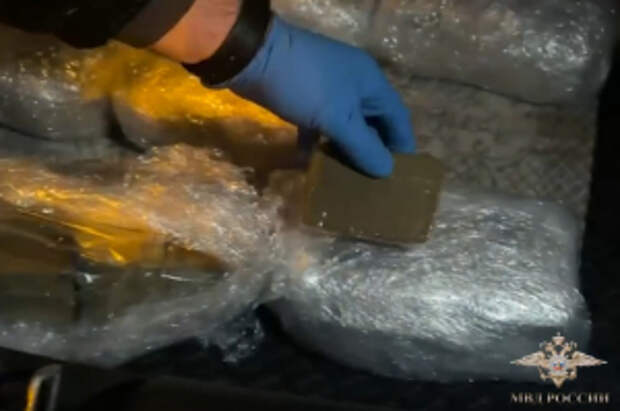 В Московской области полицейские задержали троих подозреваемых в незаконном обороте гашиша