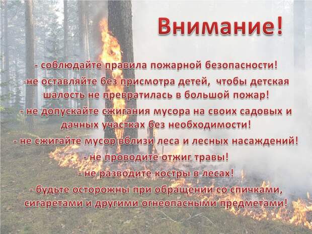 Фото: пресс-служба МЧС по СЗАО