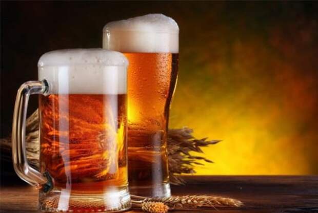 Пиво является очень полезным напитком, если его пить не более 500 грамм в день. Это отличное желчегонное средство, которое содействует обмену веществ в организме, а также отлично подходит после похмелья.