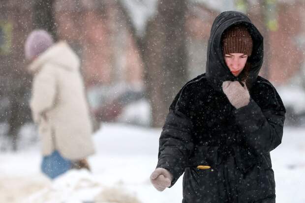 Синоптик Шувалов: в Подмосковье 19 февраля выпадет до 20 мм осадков