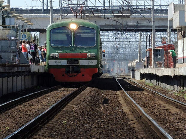 Пес тоже погиб