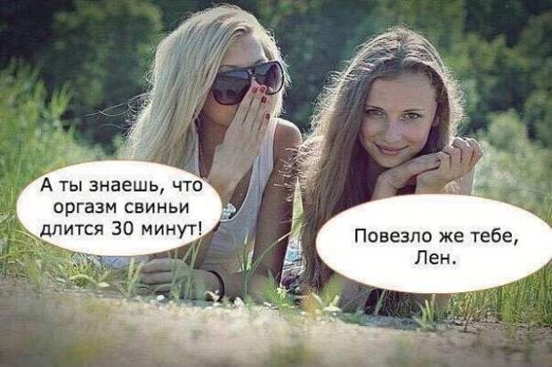 Картинки, юмор, приколы