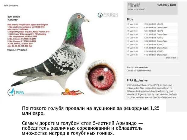 Подборка прикольных картинок