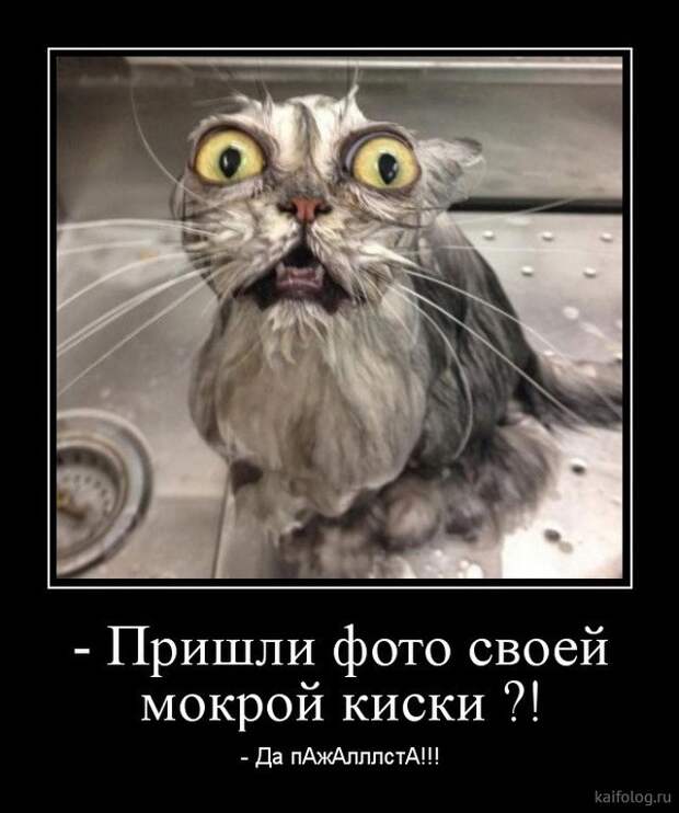 Прикольные демотиваторы со смыслом (35 штук)