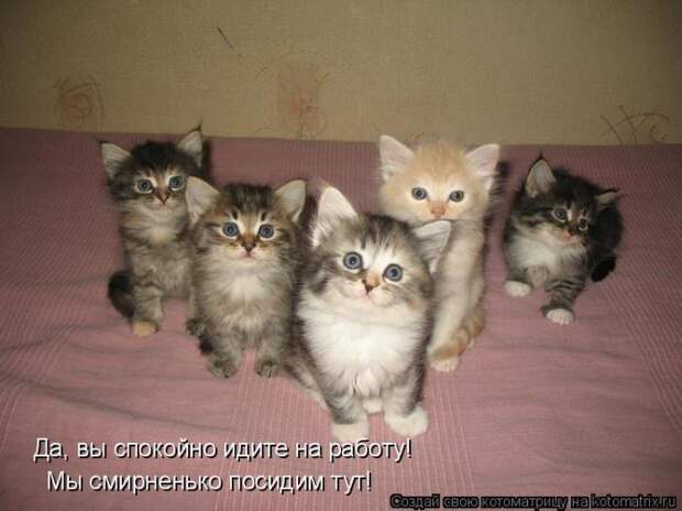 Мысли вслух :)