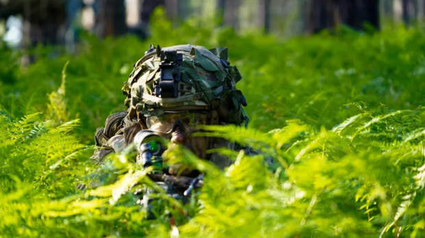 На Украине предложили раздавать наемникам землю в регионах России