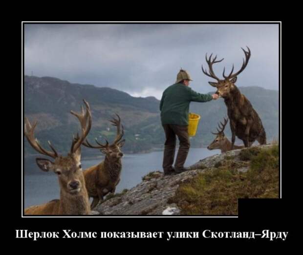 www.vsyako.net