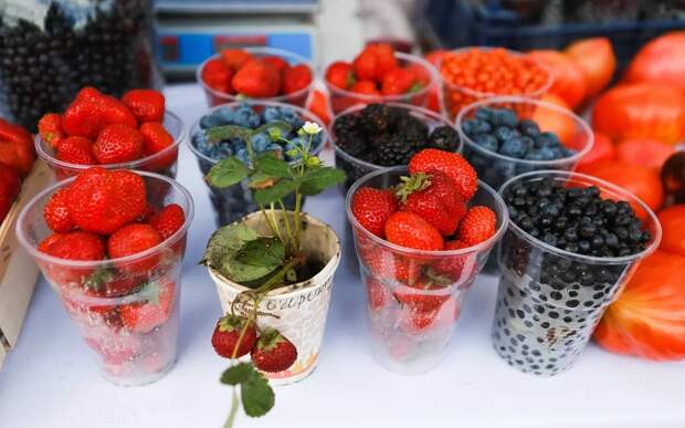 ягод.JPG ягод.JPG