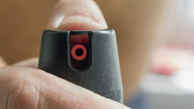 В школе Алтайского края семеро детей пострадали при распылении перцового баллона