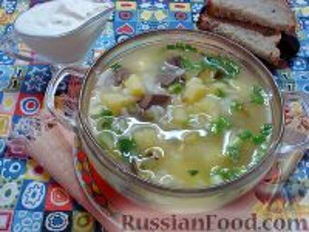 Фото к рецепту: Рассольник с почками