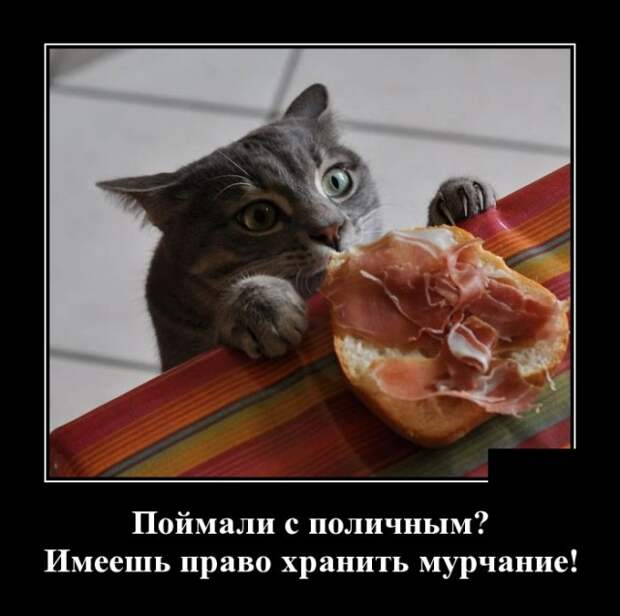 www.vsyako.net