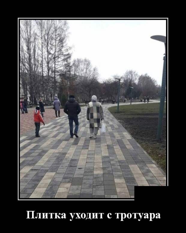 Демотиваторы (30 фото)