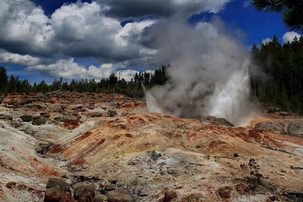 Steamboat Geyser erupts mildly in June 2008.